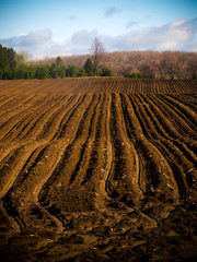 plowed field