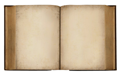 blank vintage book