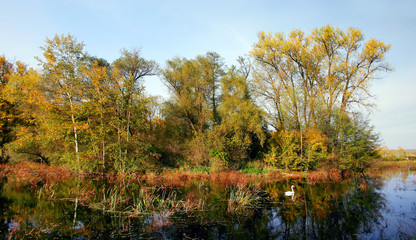 Obraz premium fall colors - autumn countryside - pond