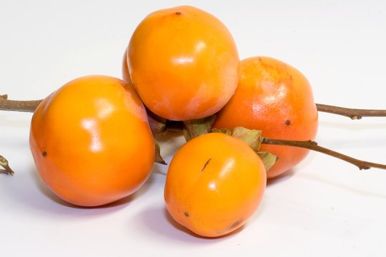fruits 064