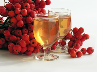 rowan vodka and rowan berries