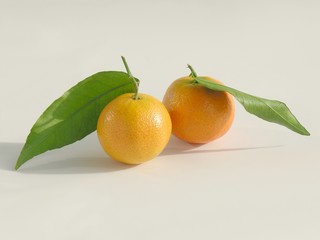 two small orange mandarines