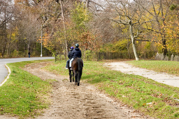 Fototapeta premium horse riding