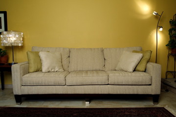 sofa in living room