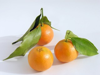 mandarines