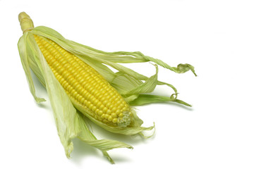 corn cob ii