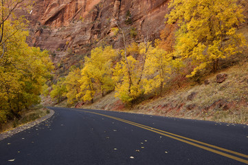 Fototapeta premium autumn road 2