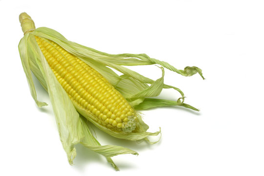 corn cob ii