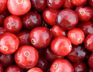 cranberries close-up