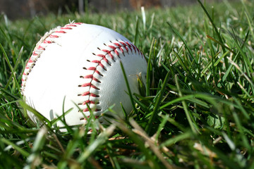 baseball