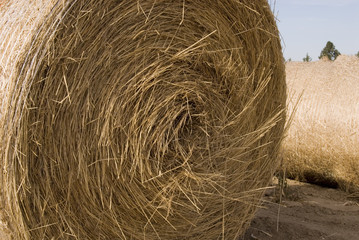 hay bale