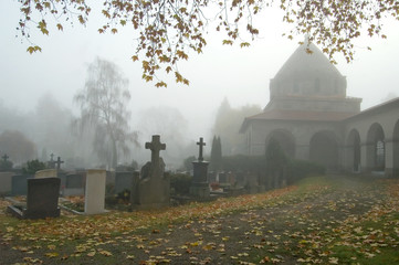 fog in the graveyard