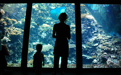 aquarium