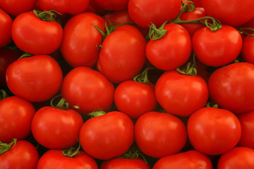 tomatos