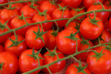 tomatos