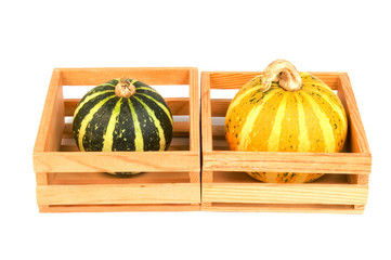 autumn vegetables - gourds