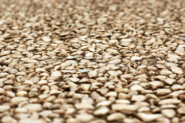 Obraz premium small stone wall