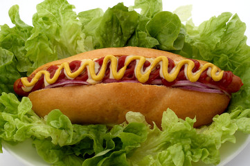 hot dog on a bed of lettuce