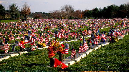 veterans' cemetary