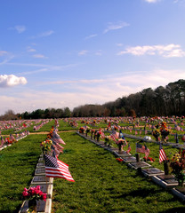 veterans' cemetary