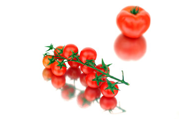 tomatoes