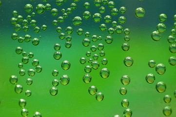 bubbles