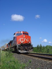 Naklejka premium locomotive canadienne