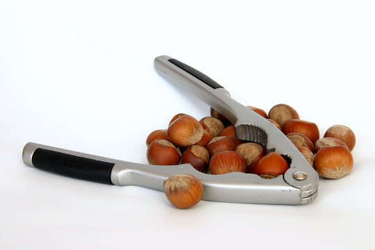 nutcracker and nuts