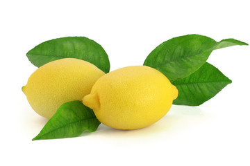fresh lemons with leaves