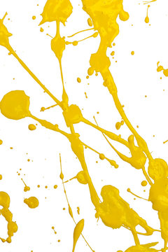 splash paint