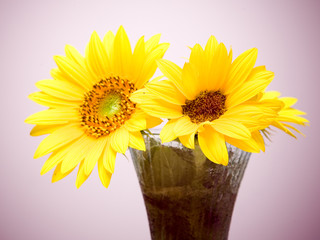 sunflower arrangement