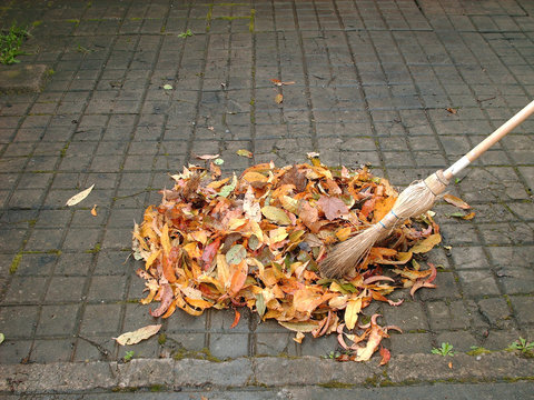 feuilles mortes et balai