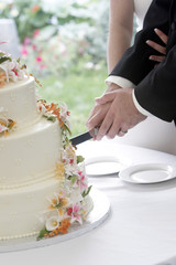 cutting the cake