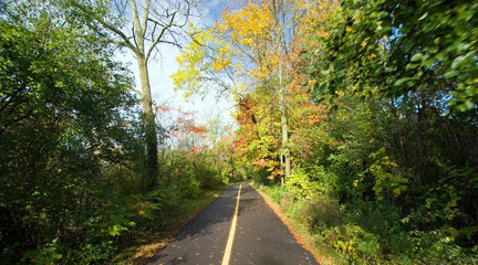autumn path