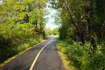 Fototapeta premium autumn path