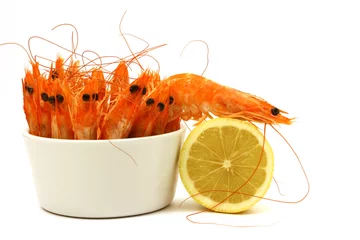 Crédence de cuisine en verre imprimé Crustacés shrimp escape