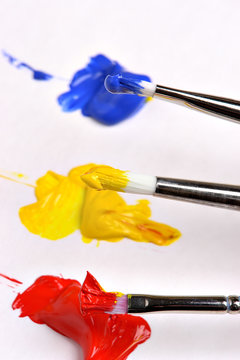 primary colors