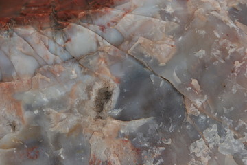 crystallized wood