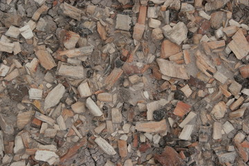 petrified wood chips