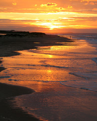 Naklejka premium sunset over beach