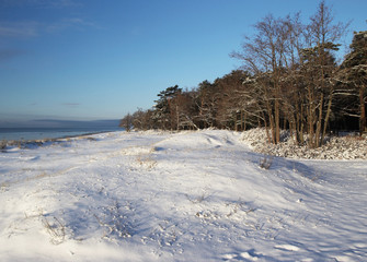 snow landscape background - 1797569