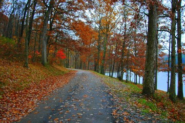 the road less traveled