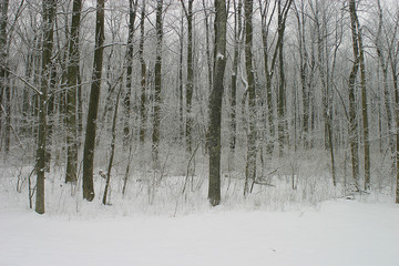 Fototapeta premium ice and snow