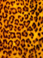 animal fur - cheetah