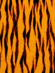 animal fur - tiger