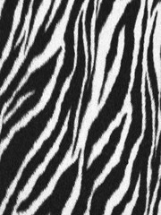 zebra - animal fur