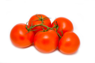tomatoes