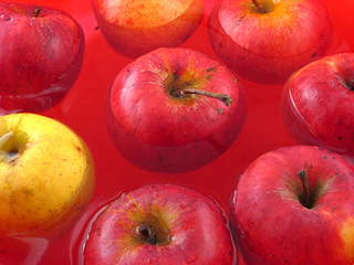 organic apples