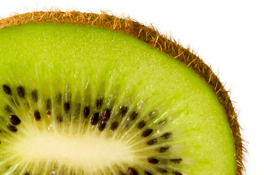kiwi slice close up
