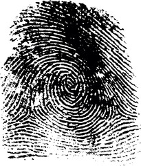 fingerprint19 © Germán Ariel Berra